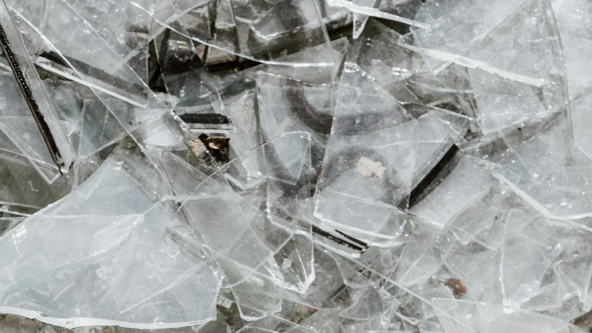 El impacto del trauma