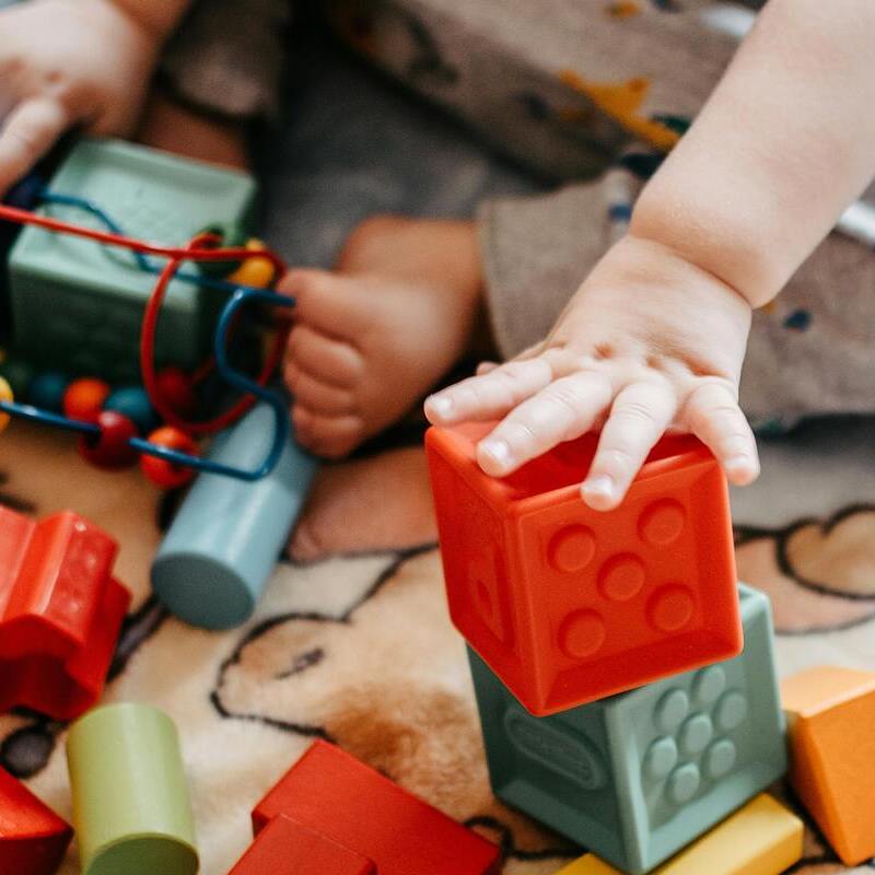  Imagen Vivir en sociedades desiguales altera el desarrollo cerebral y la salud mental de los niños. noticia