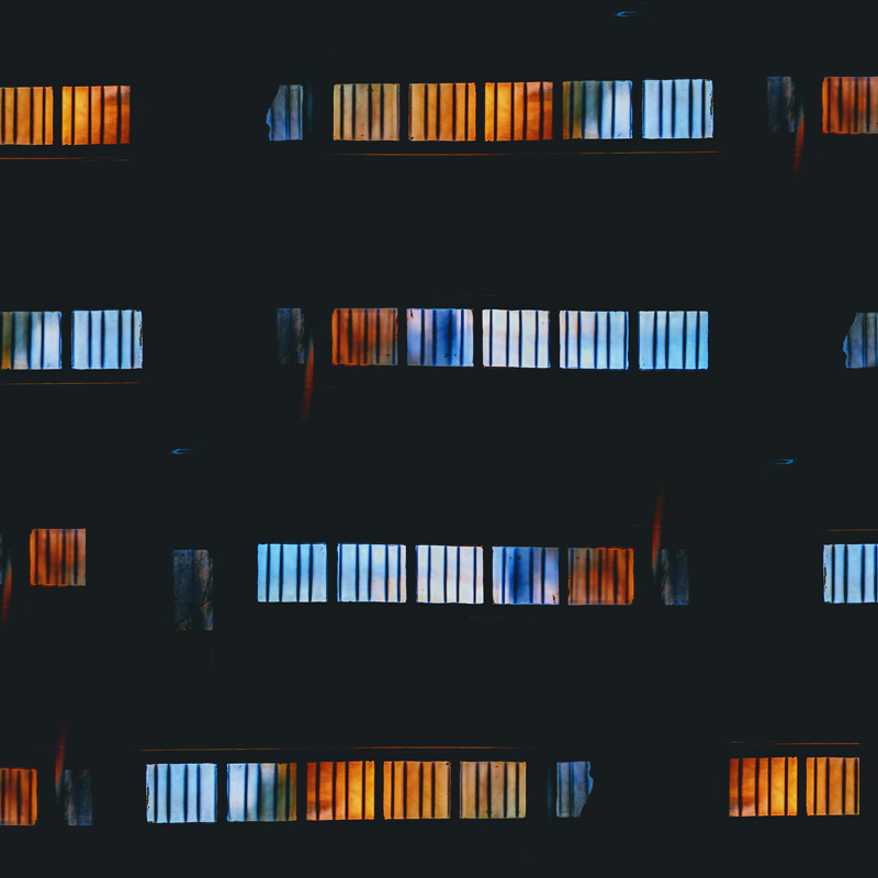  Imagen La evolución del cerebro: Inteligencia artificial revela 320 millones de años de historia noticia