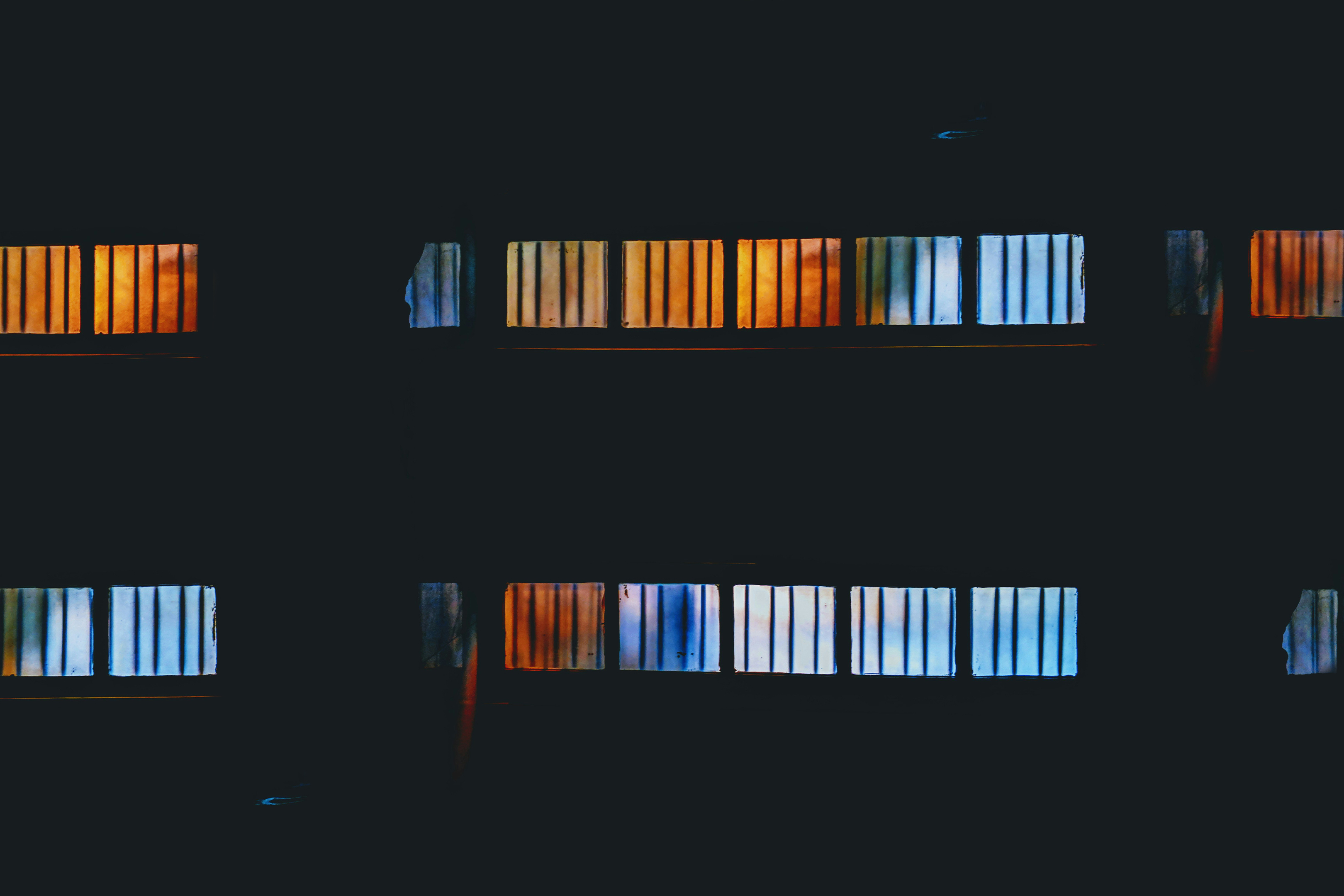 La evolución del cerebro: Inteligencia artificial revela 320 millones de años de historia