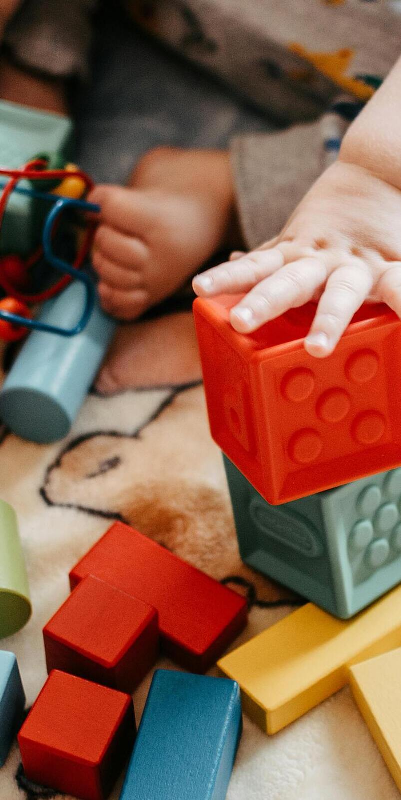  Imagen Vivir en sociedades desiguales altera el desarrollo cerebral y la salud mental de los niños. noticia