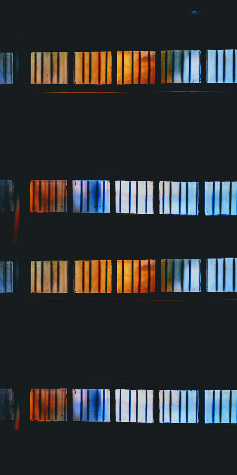  Imagen La evolución del cerebro: Inteligencia artificial revela 320 millones de años de historia noticia