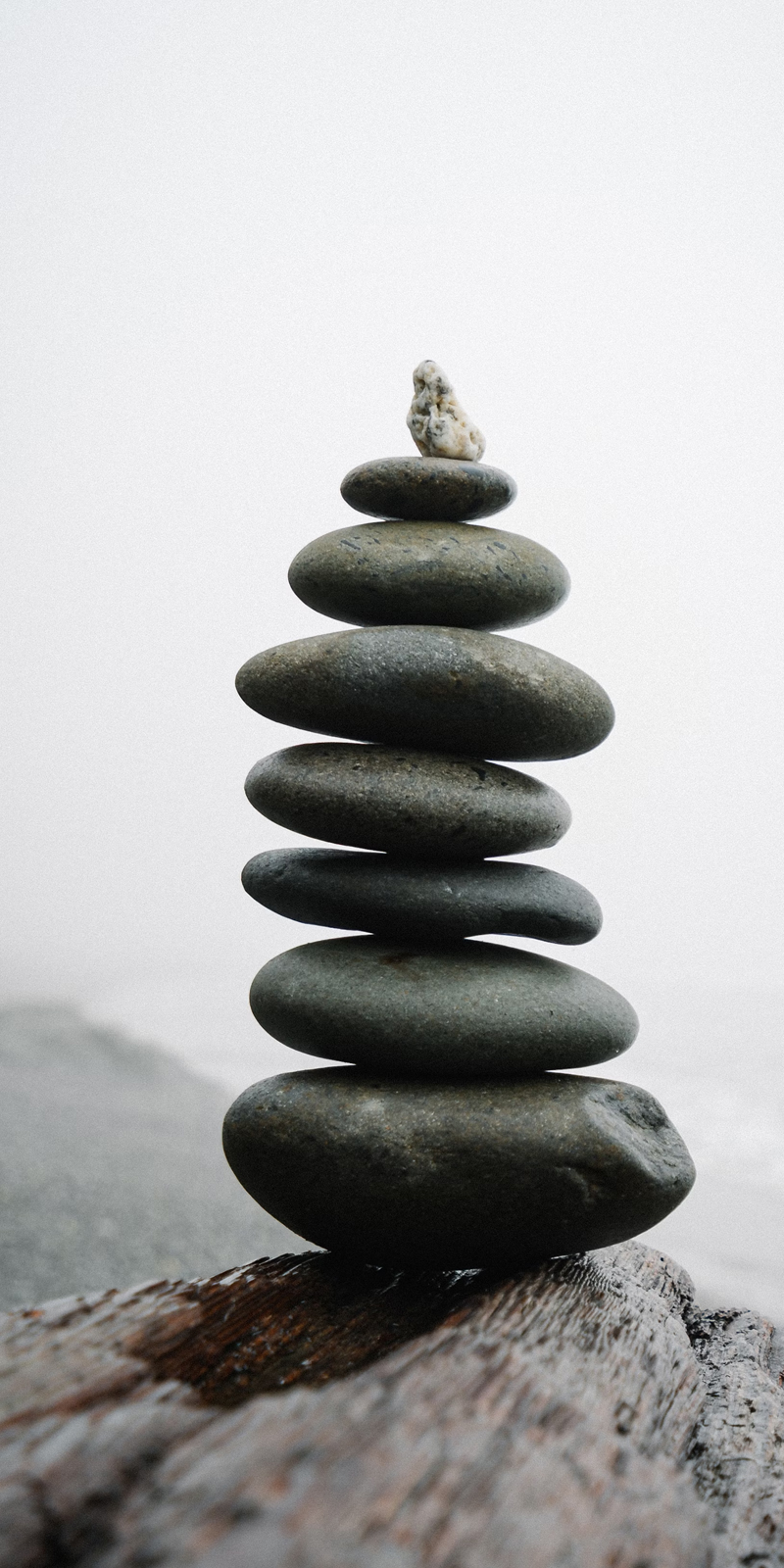  Imagen La intersección de la biología y el entorno noticia